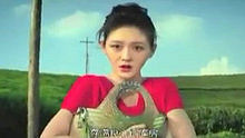 沙寶亮《無處安放》官方版