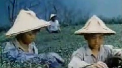 魯冰花