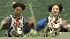 民樂群星 - 瓦西切莫