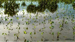 發現美麗臺灣之冬