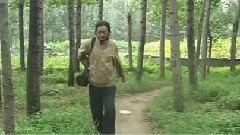 草原上升起不落的太陽