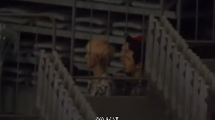 待機