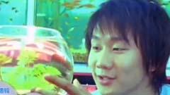 豆漿油條