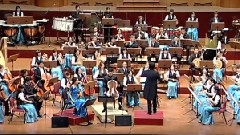 輕音樂 - Double Concerto For Erhu And Cello
