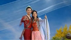 彩蝶雙飛