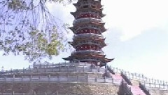 絆人的樁不在高