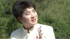 靈臺八景美