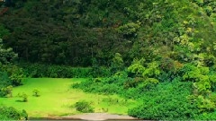 小陽春