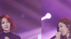 看不見的愛 & 烏龜