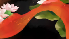 錦鯉抄