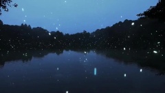 夢游東京子夜