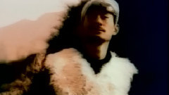 山丹丹開花紅艷艷