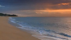 寫給海洋