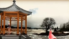 月下蟬