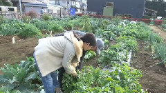 前田敦子 藍天下現採蔬菜Cooking