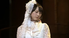 AKB48 2013夏季東京巨蛋演唱會