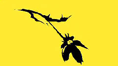 Nico - Virgin Suicides を歌ってみた Clear