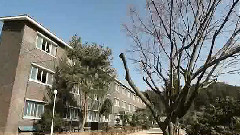 韓國綜藝 - 真正的男人