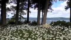 Tides Of Eden