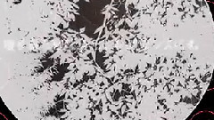 心情維持