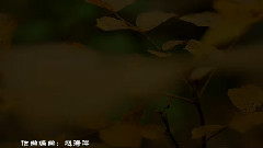 如花意夢