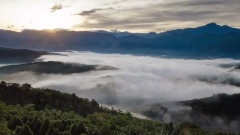 金龍山
