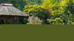 富士山下的山梨縣