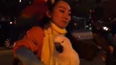 美國之行之街頭趣事2