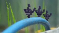 カリキュラム