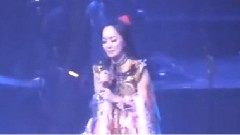 小樹和大樹
