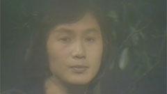 知音夢里尋