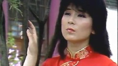 陳淑樺 - 紅樓夢