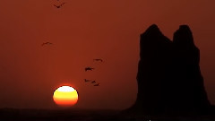 Ernesto Cortazar,音樂短片 - Ernesto Cortazar - Just For You
