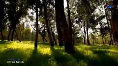 Michel Pépé,音樂短片 - Instant De Beatitude