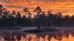 Dawn