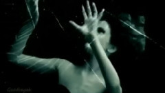 Aquaria