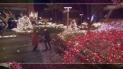 只要這樣