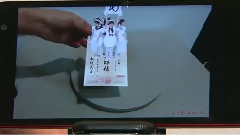 めざましテレビ 年賀狀イベント 2015年の抱負語る