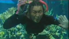 飛越海洋