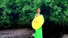 竹林深處