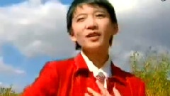 紅蜻蜓