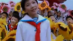 花兒朵朵向太陽