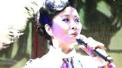萬水千山總是情