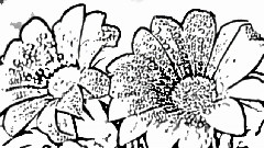 美しきもの 中文字幕動畫版