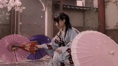 櫻花盛開