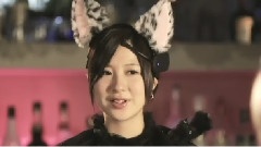 嗚呼,素晴らしきニャン生