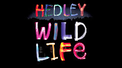 Hedley - Crazy For You 官方試聽版