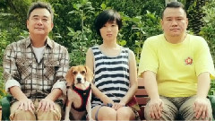 湯米先生的誠實告白