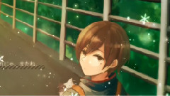 三毛貓とショートヘア