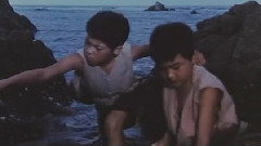 苦根上結出的一對苦瓜